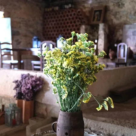 Quinta Maria Gil - A Апартаменты